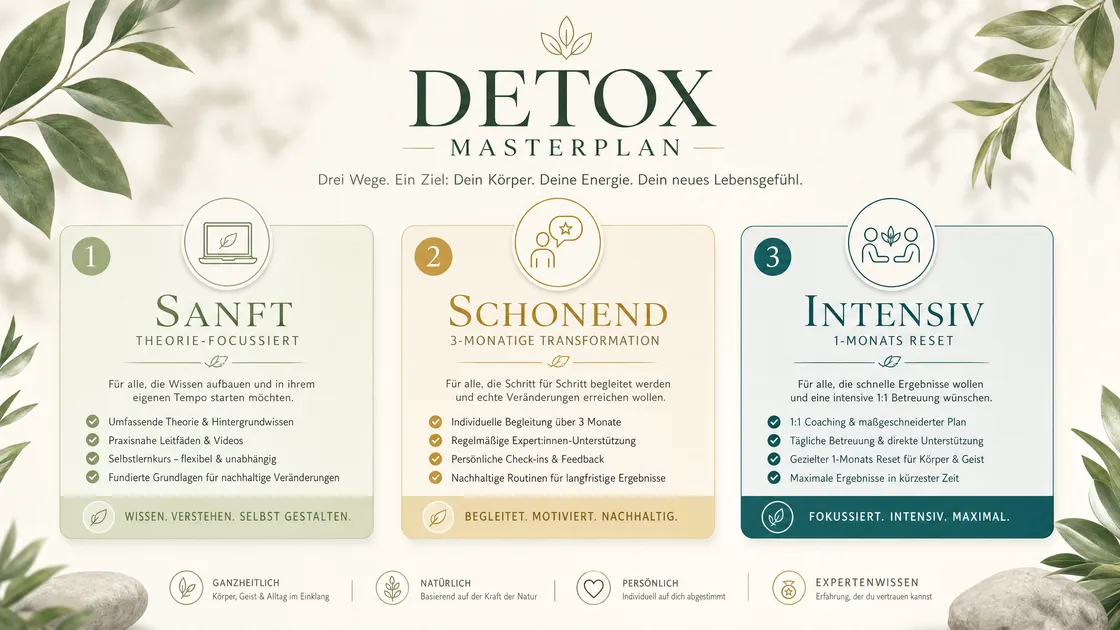 Grafik „Detox Masterplan – Drei Wege. Ein Ziel“: 1 Sanft, theoriefokussiert; 2 Schonend, dreimonatige Transformation; 3 Intensiv, Ein-Monats-Reset